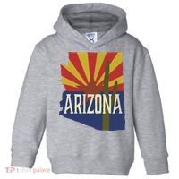 Arizona State Flag Saguaro Toddler Hoodie thumb 0