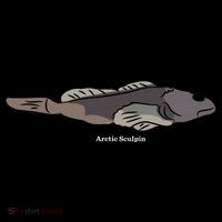 Arctic Sculpin Freshwater Fish Women's Long Sleeve Shirt thumb 2