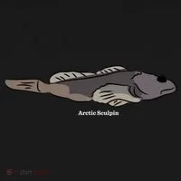 Arctic Sculpin Freshwater Fish Women's Long Sleeve Shirt thumb 2
