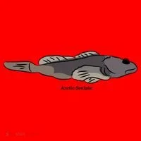 Arctic Sculpin Freshwater Fish Santa Hat thumb 1