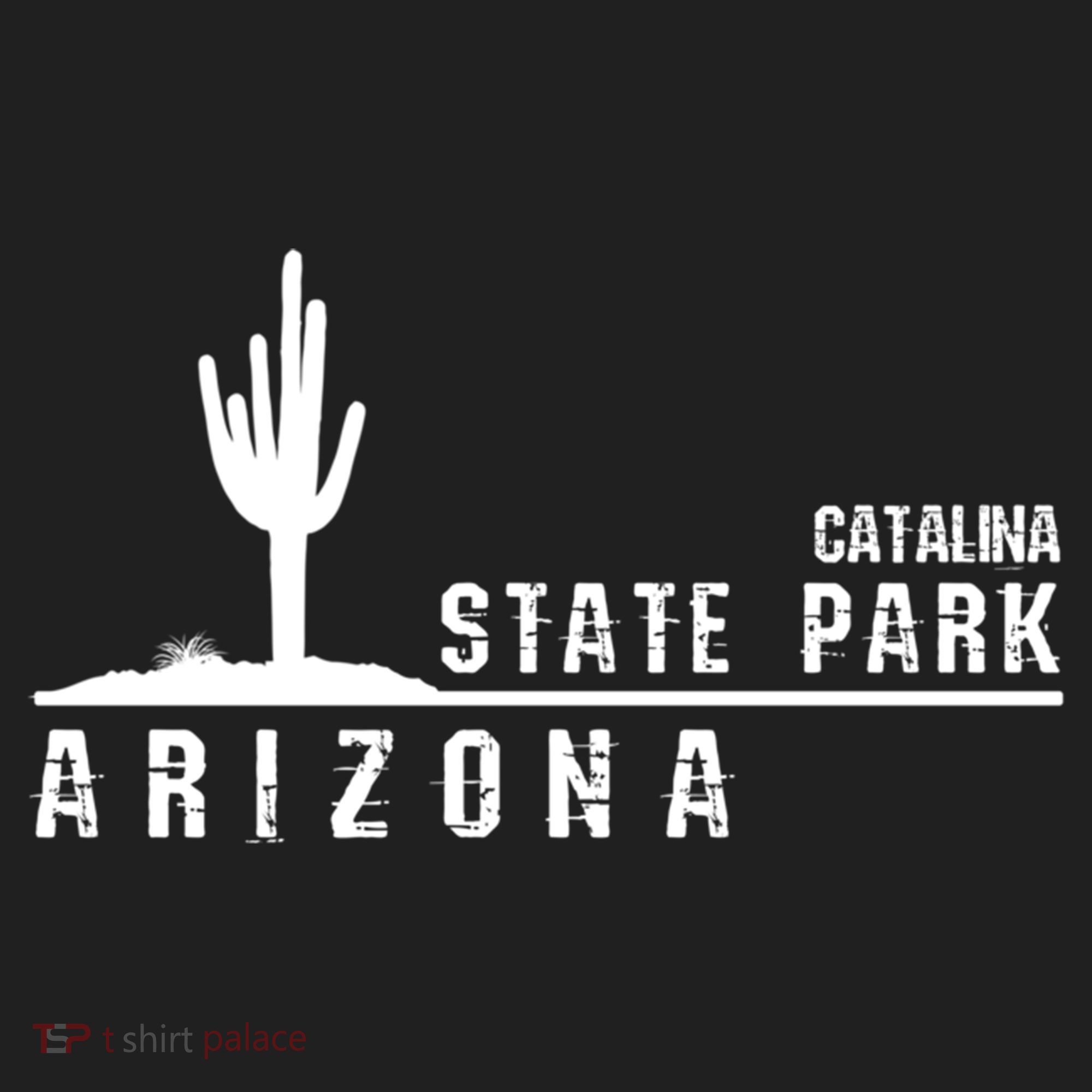 Arizona Souvenir Gift Catalina State Park Gift Women's Sweatshirt
