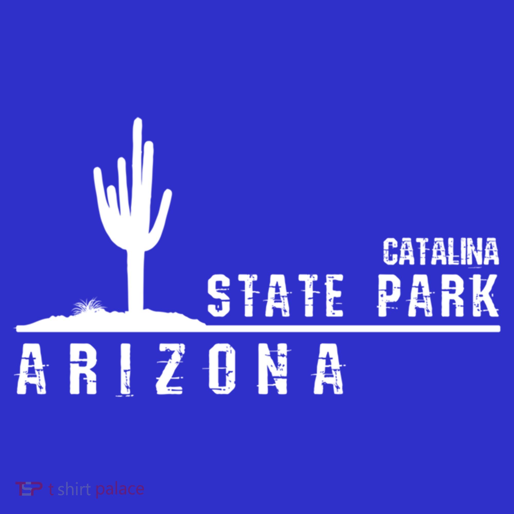 Arizona Souvenir Gift Catalina State Park Gift Kids Sweatshirt