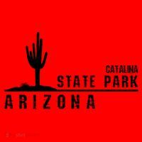 Arizona Souvenir Gift Catalina State Park Gift Santa Hat thumb 1