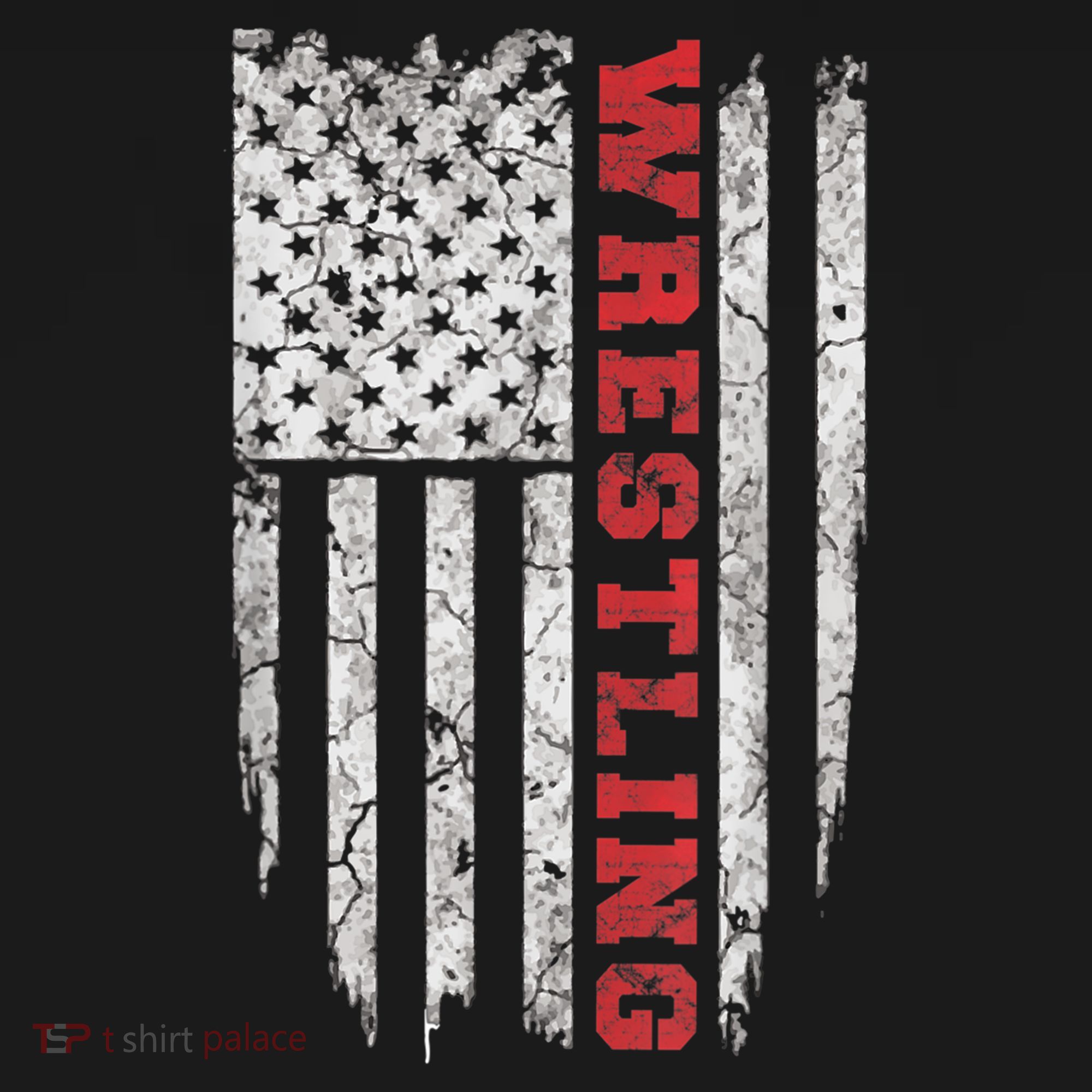 American Sport Gift Wrestling TShirt USA Gift Polo