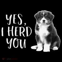 Australian Shepherd Herding Dog Funny I Herd You Mom Dad Coffee Mug thumb 5