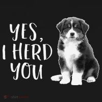 Australian Shepherd Herding Dog Funny I Herd You Mom Dad Baby Bodysuit thumb 2