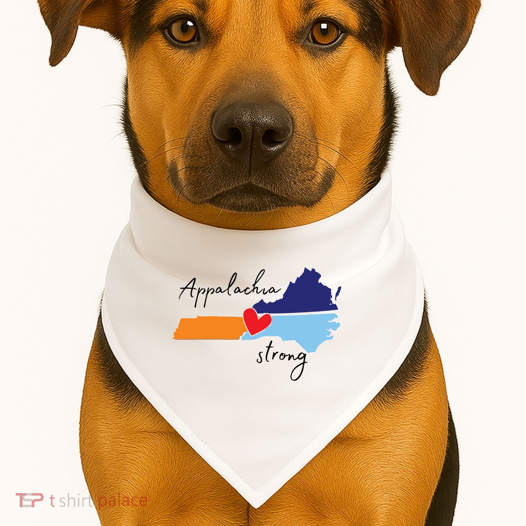 Appalachia Strong Hurricane Helene Disaster Relief USA-Made Doggie Bandana