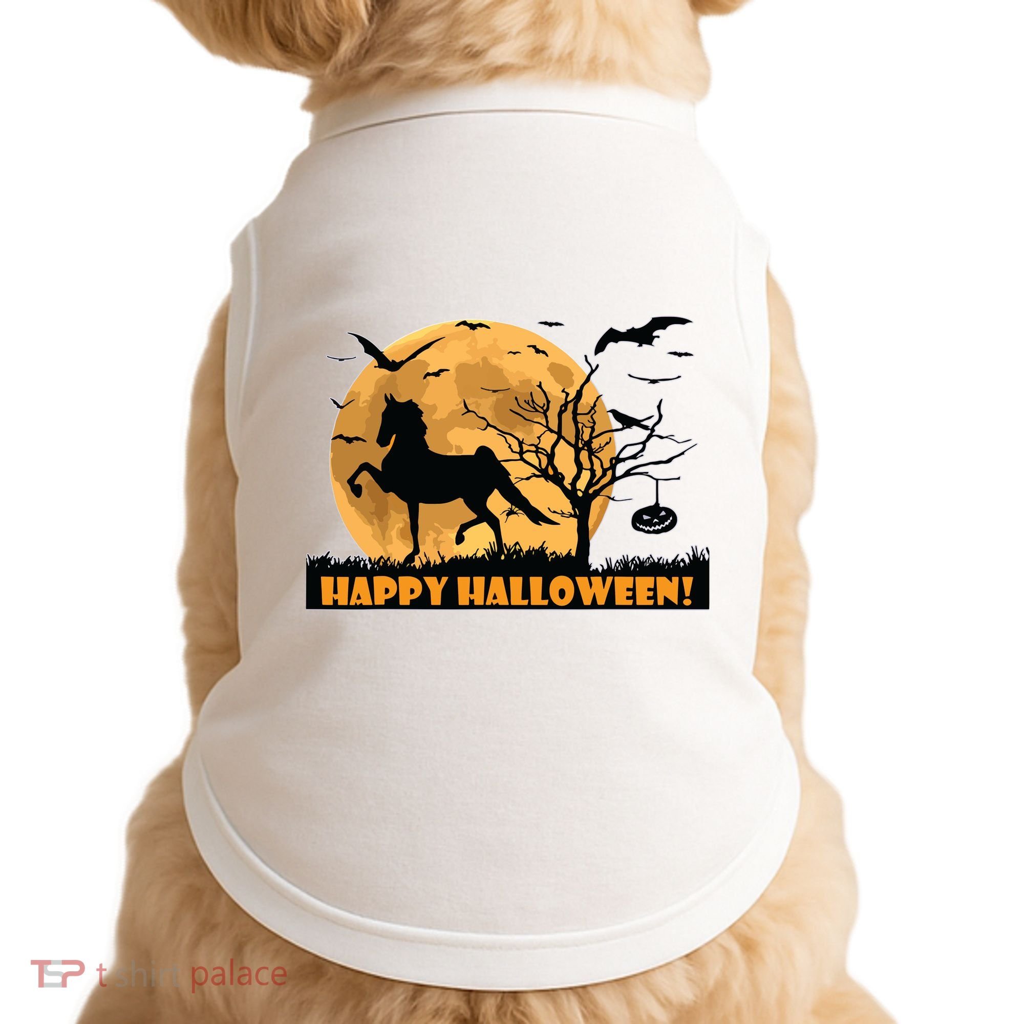 American Saddlebred Horse Training Gaited Horses Equitation Doggie Tank