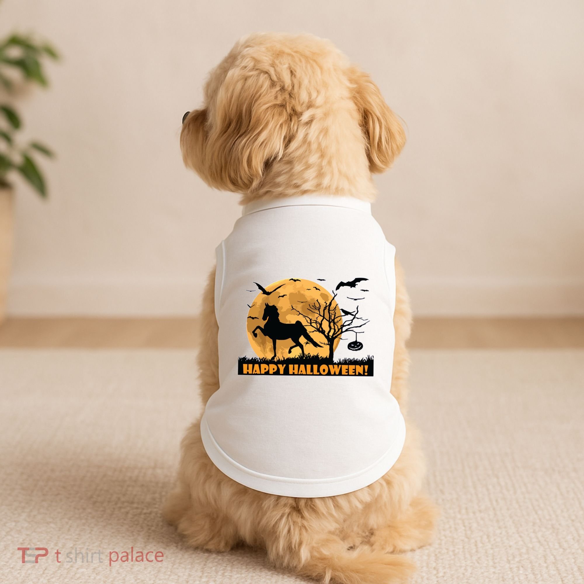 American Saddlebred Horse Training Gaited Horses Equitation Doggie Tank