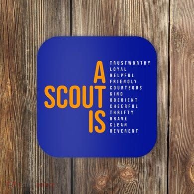 A Scout Is Coaster