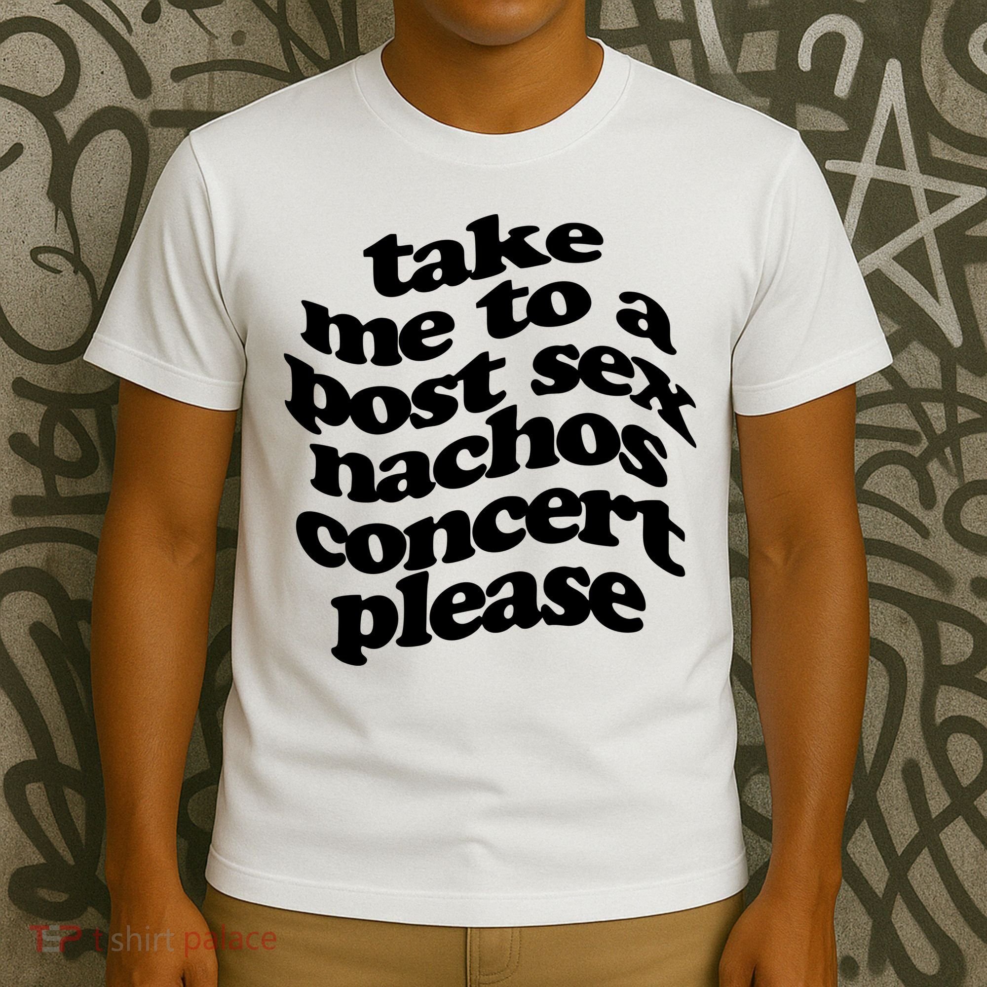 A Small Indie Band Stole All Of My Money Take Me To A Post Sec Nachos Concert Pl T-Shirt