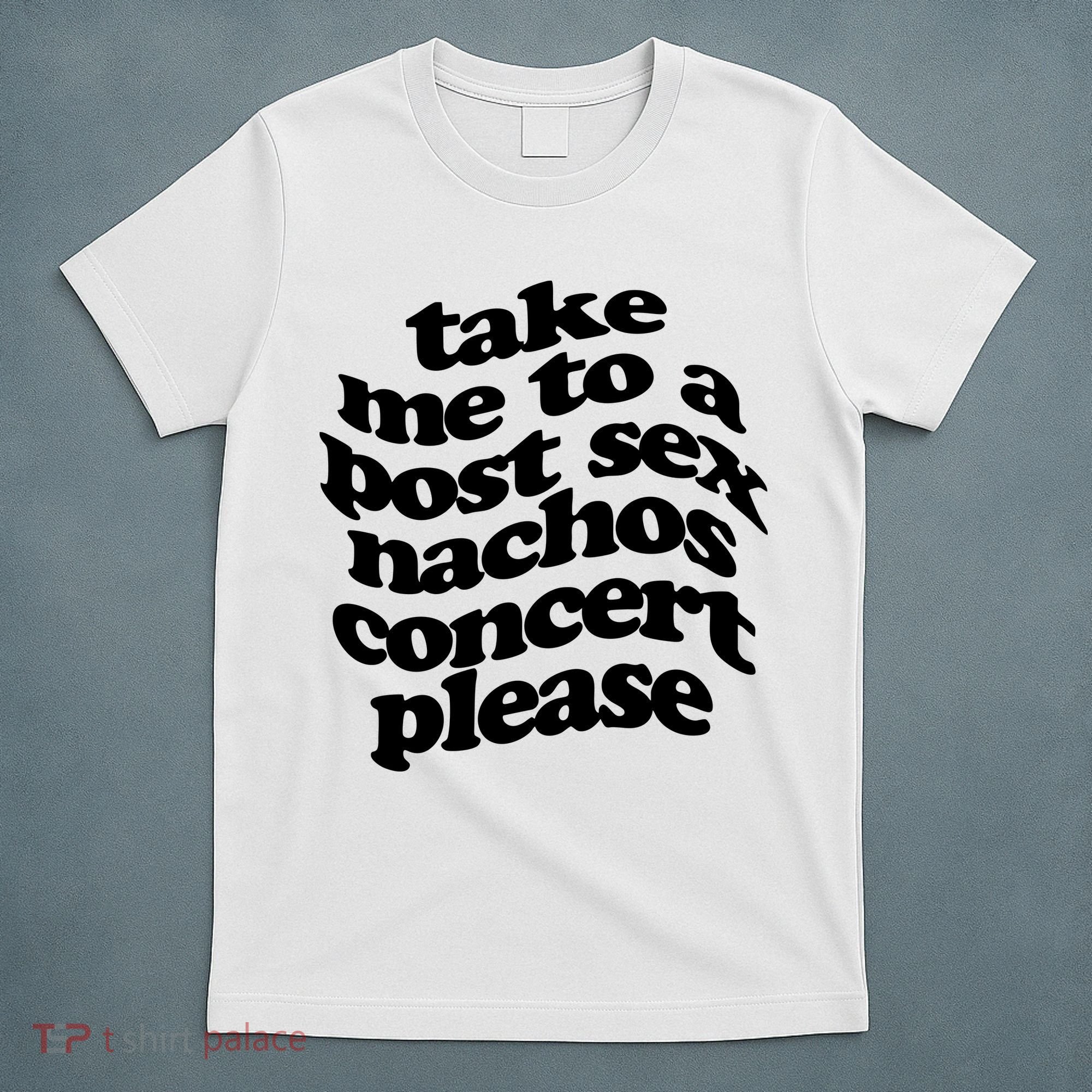 A Small Indie Band Stole All Of My Money Take Me To A Post Sec Nachos Concert Pl T-Shirt