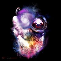 Astronaut Sloth In Space Ornament thumb 1