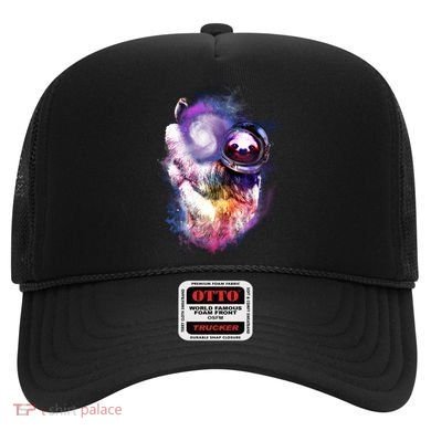 Astronaut Sloth In Space Hat