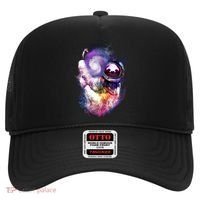 Astronaut Sloth In Space Hat thumb 0