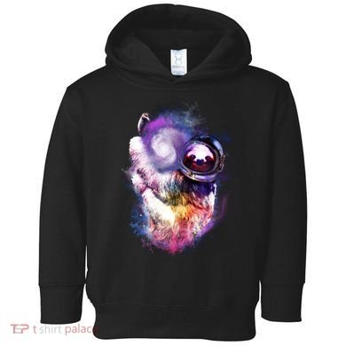 Astronaut Sloth In Space Toddler Hoodie