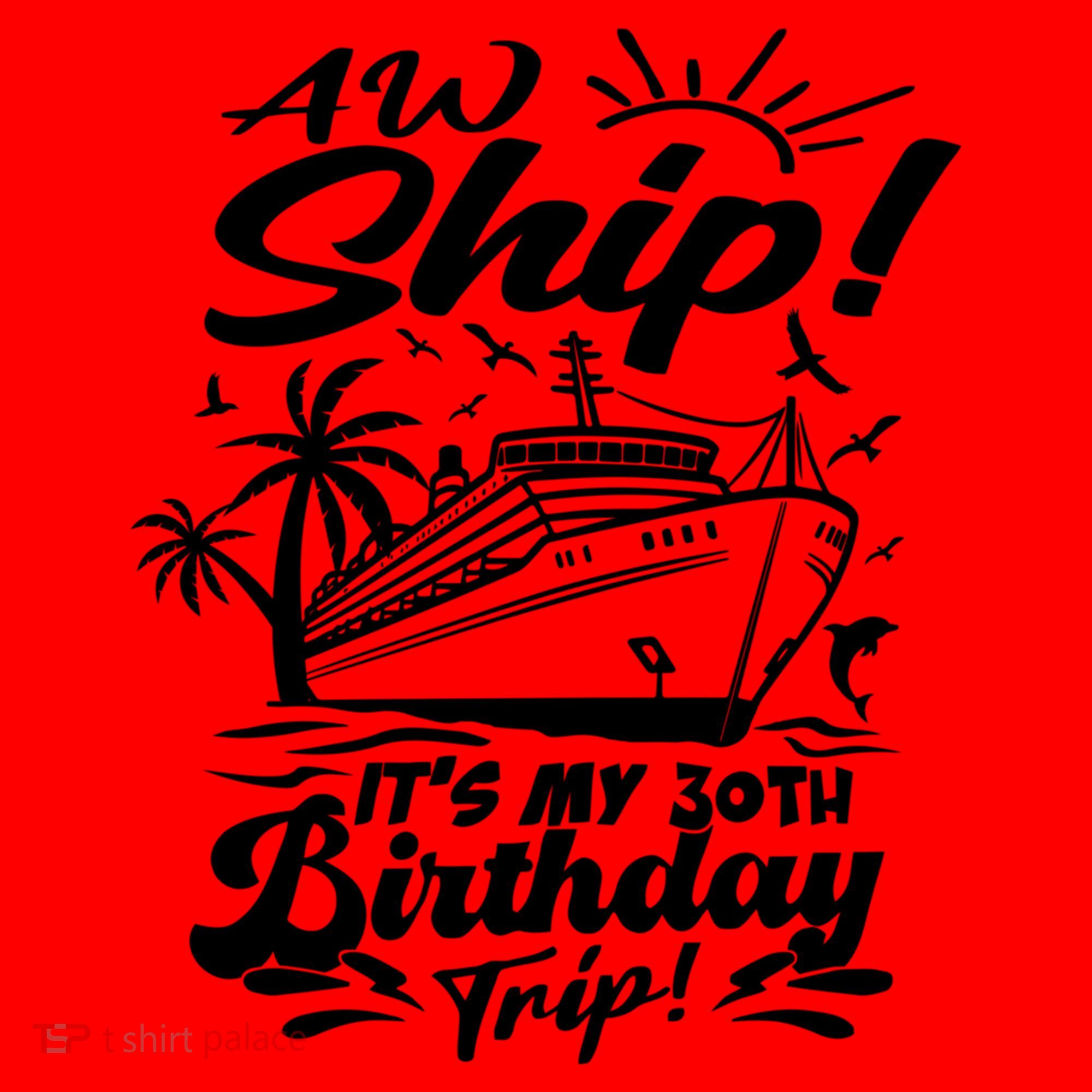 Aw Ship ItS My 30th Birthday Trip Cruise Birthday Vacation Gift Santa Hat