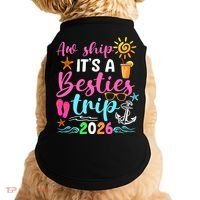 Aw Ship Its A Besties Trip 2026 Sun Doggie Tank thumb 0