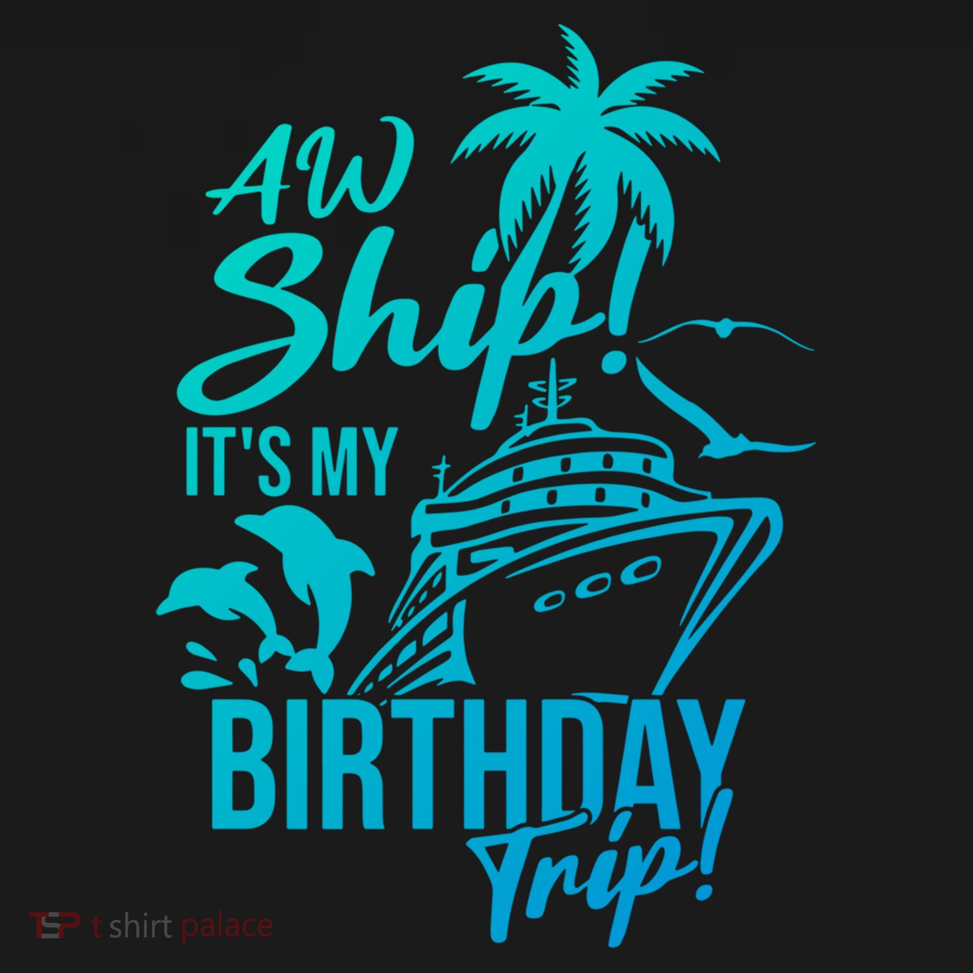 Aw Ship Its My Birthday Trip Birthday Cruise Cruise Trip Gift Women's Hoodie