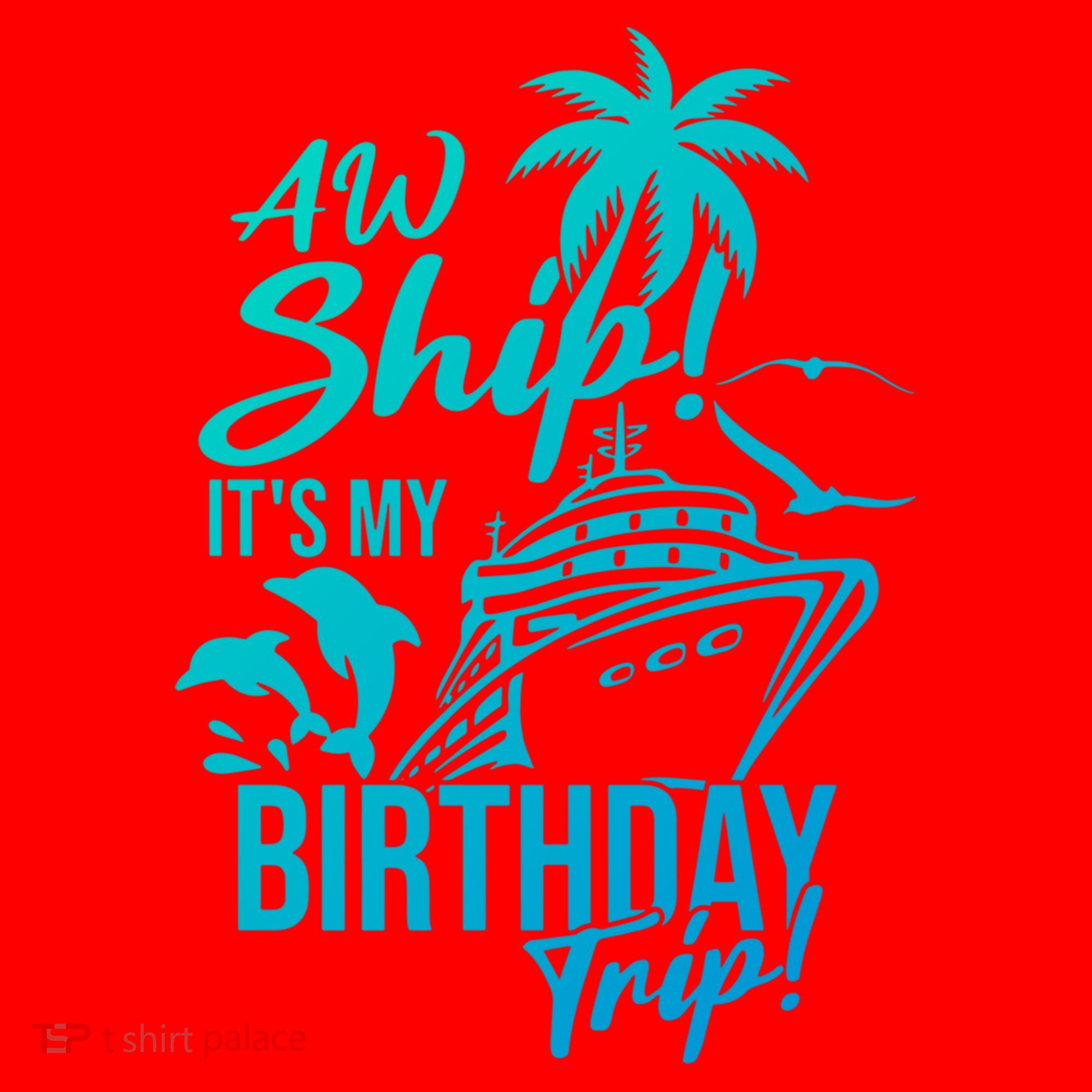 Aw Ship Its My Birthday Trip Birthday Cruise Cruise Trip Gift Santa Hat