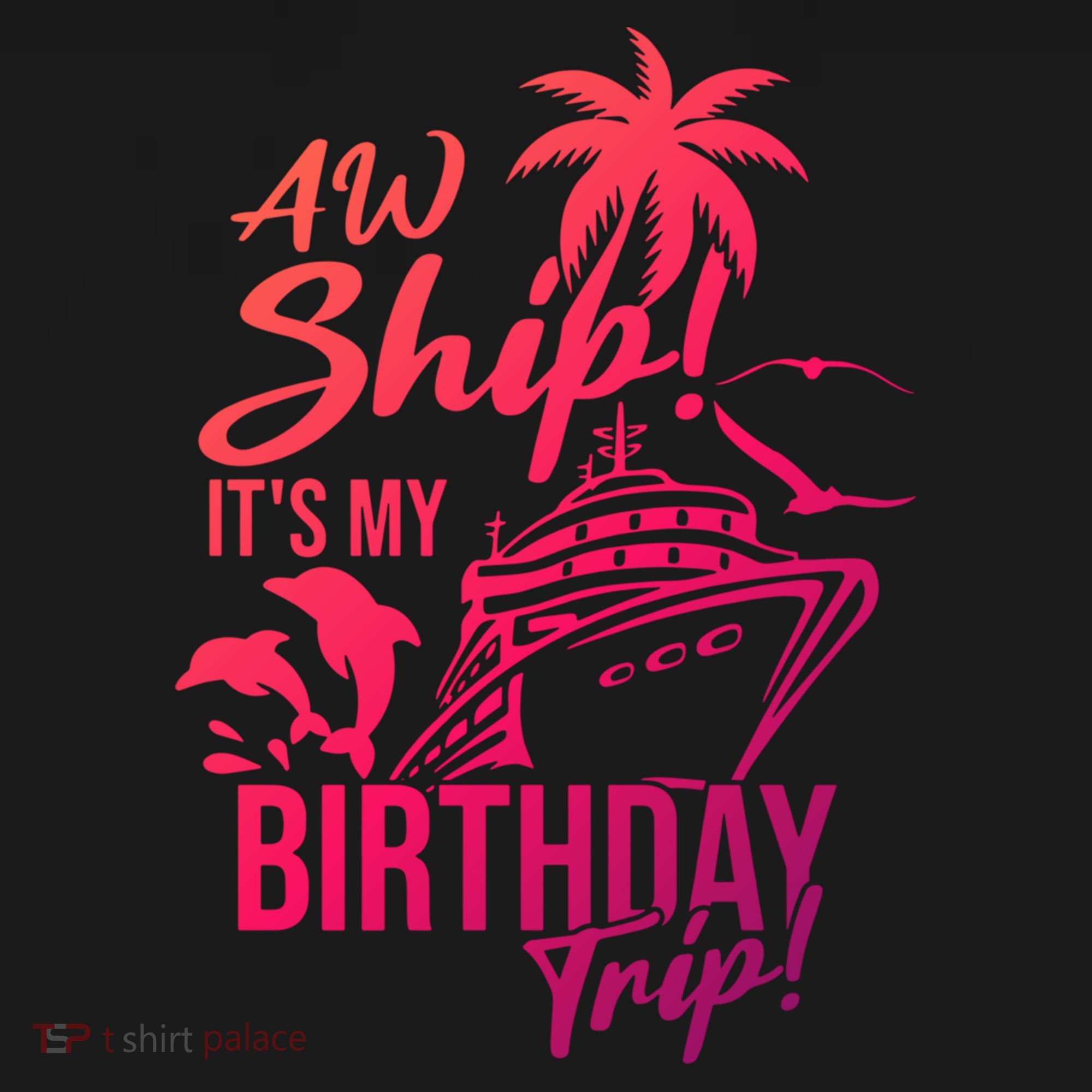 Aw Ship Its My Birthday Trip Birthday Cruise Cruise Trip Gift Women's Hoodie