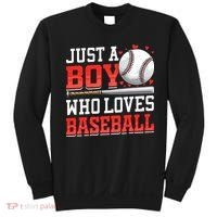 American Sport Just A Boy Who Loves Baseball Gifts Sweatshirt thumb 0