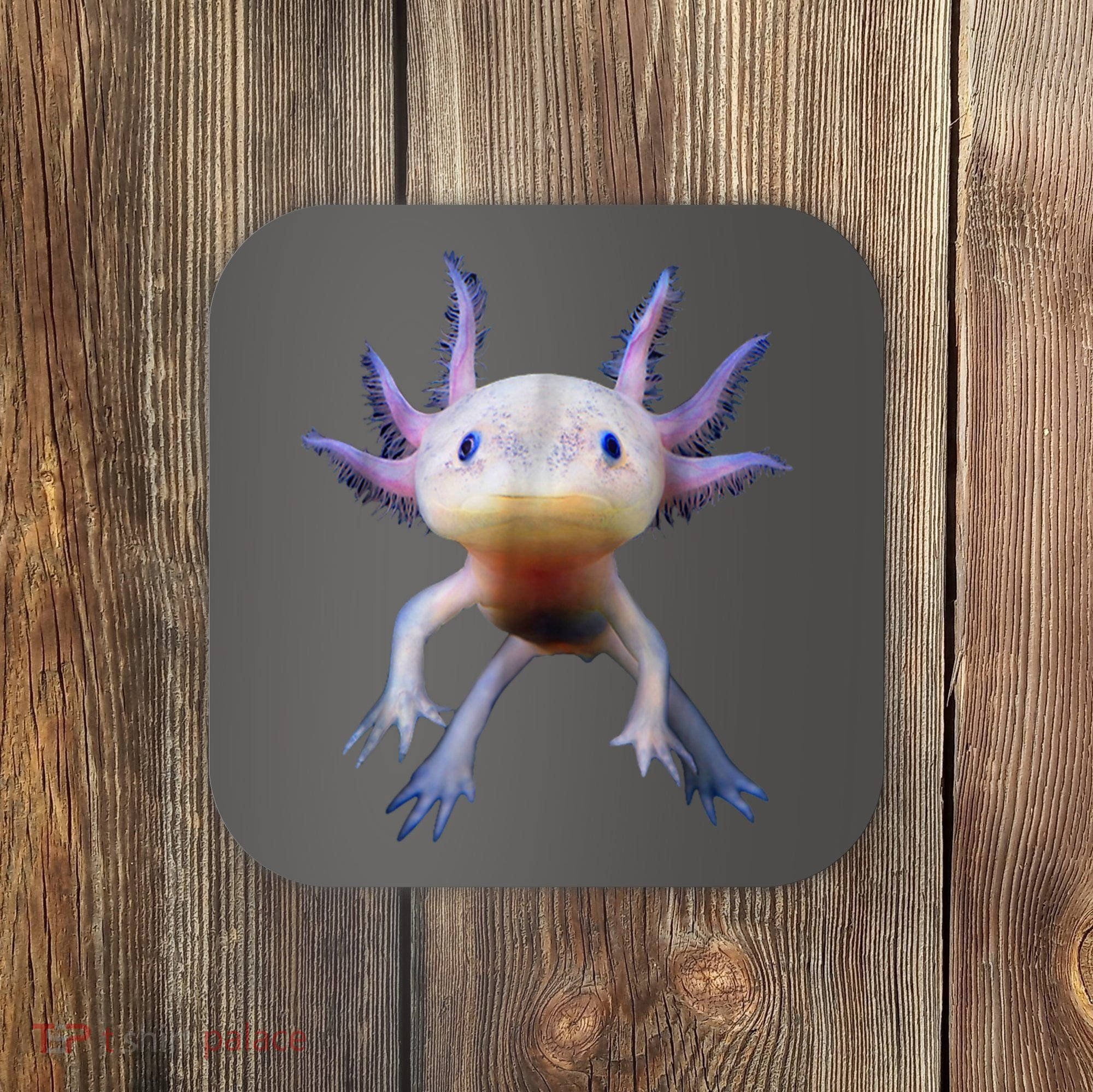 Axolotl Shirt: Limited Edition Coaster