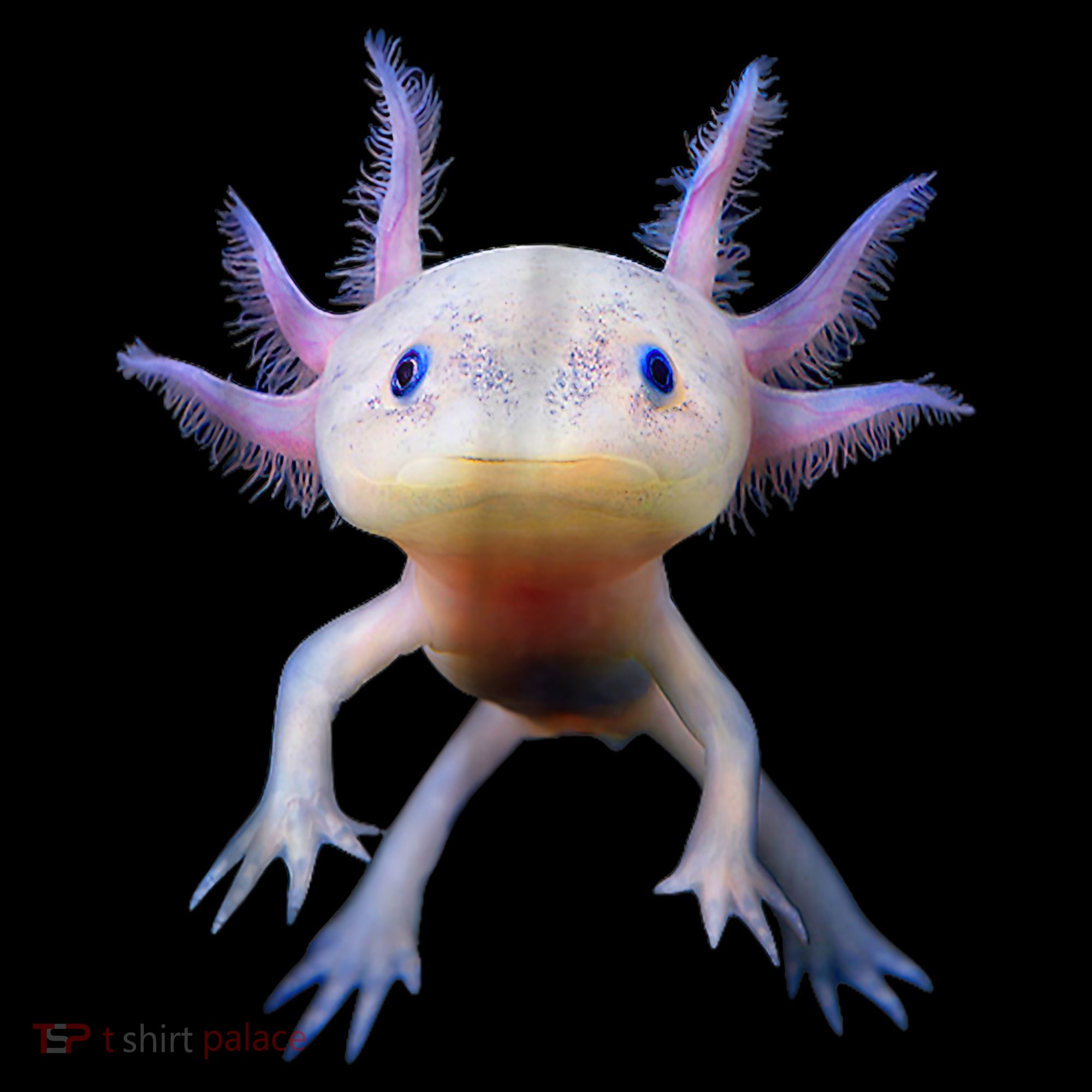 Axolotl Shirt: Limited Edition Toddler T-Shirt