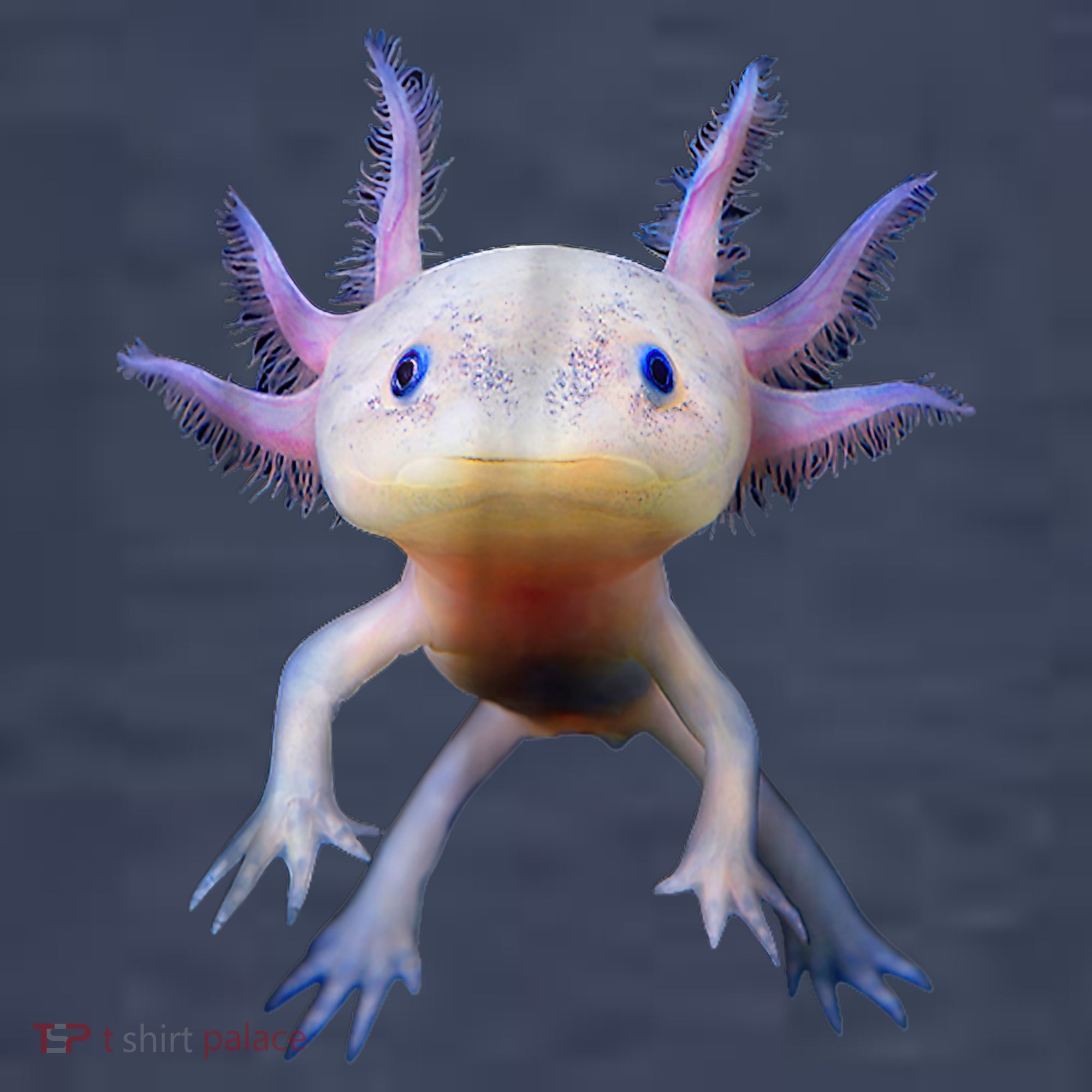Axolotl Shirt: Limited Edition Women's T-Shirt