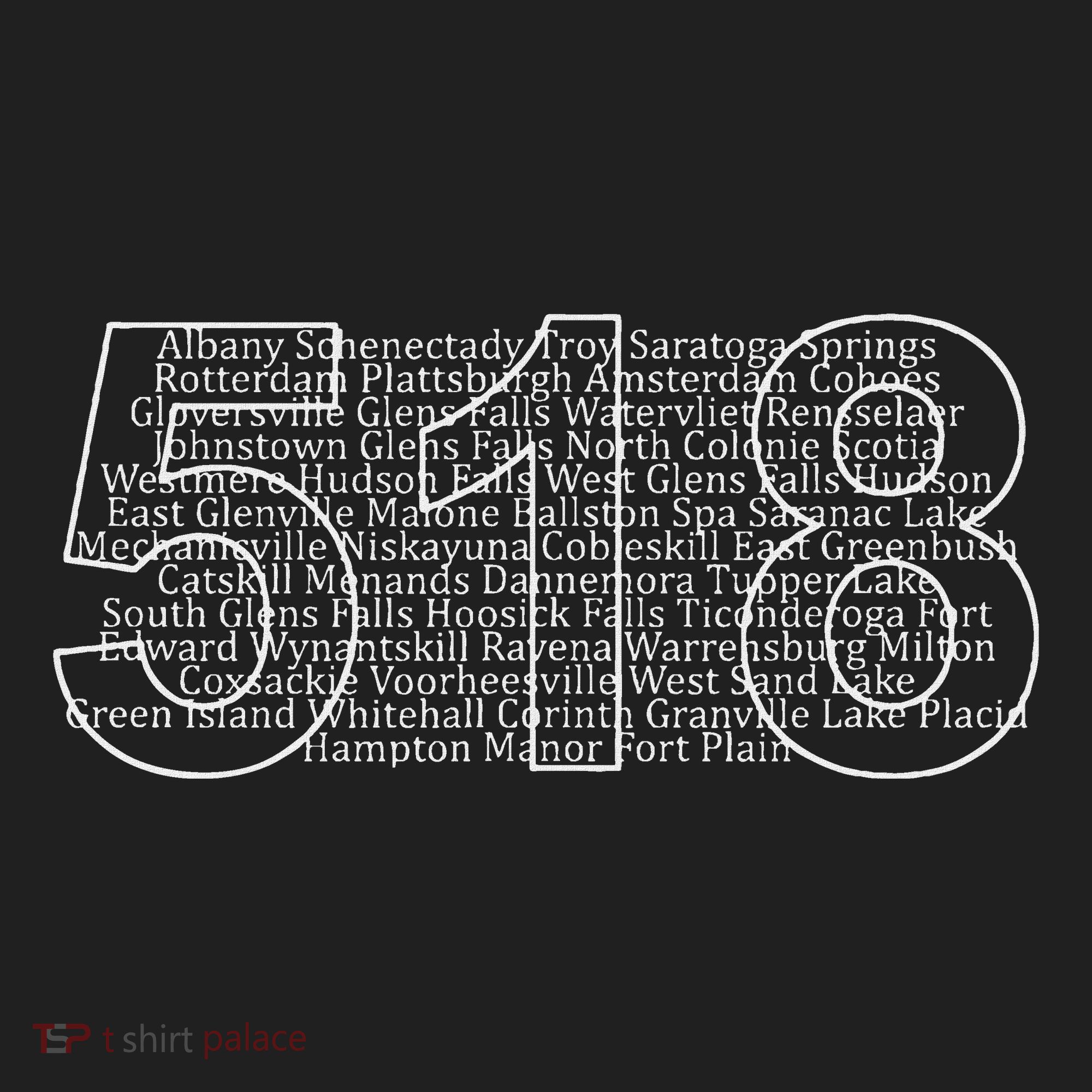 Albany Schenectady Lake Placid Upstate Ny Area Code 518 Beanie