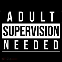 Adult Supervision Needed Funny Gift Cropped Pullover Crew thumb 4