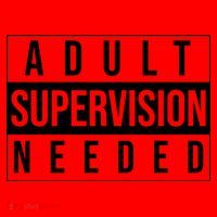 Adult Supervision Needed Funny Gift Santa Hat thumb 1
