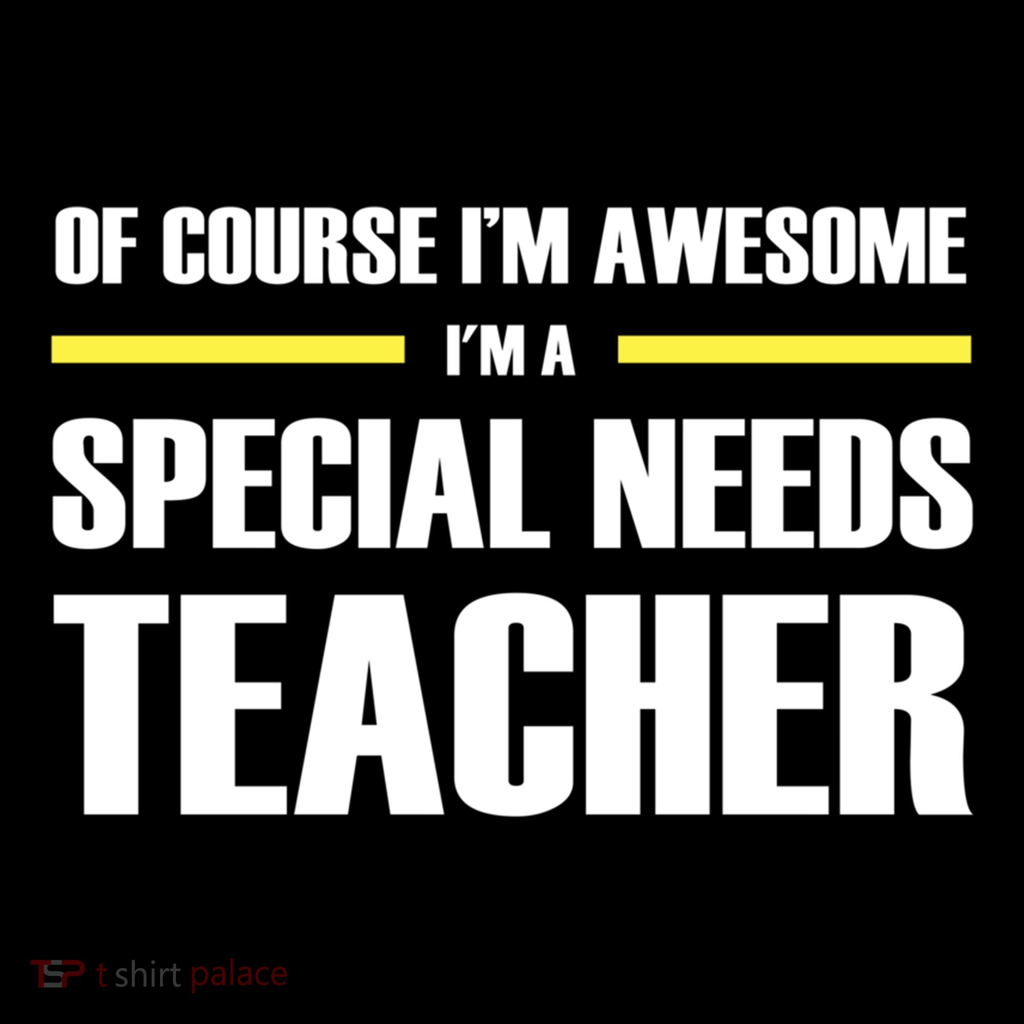 Awesome Special Needs Teacher Funny Gift Bucket Hat