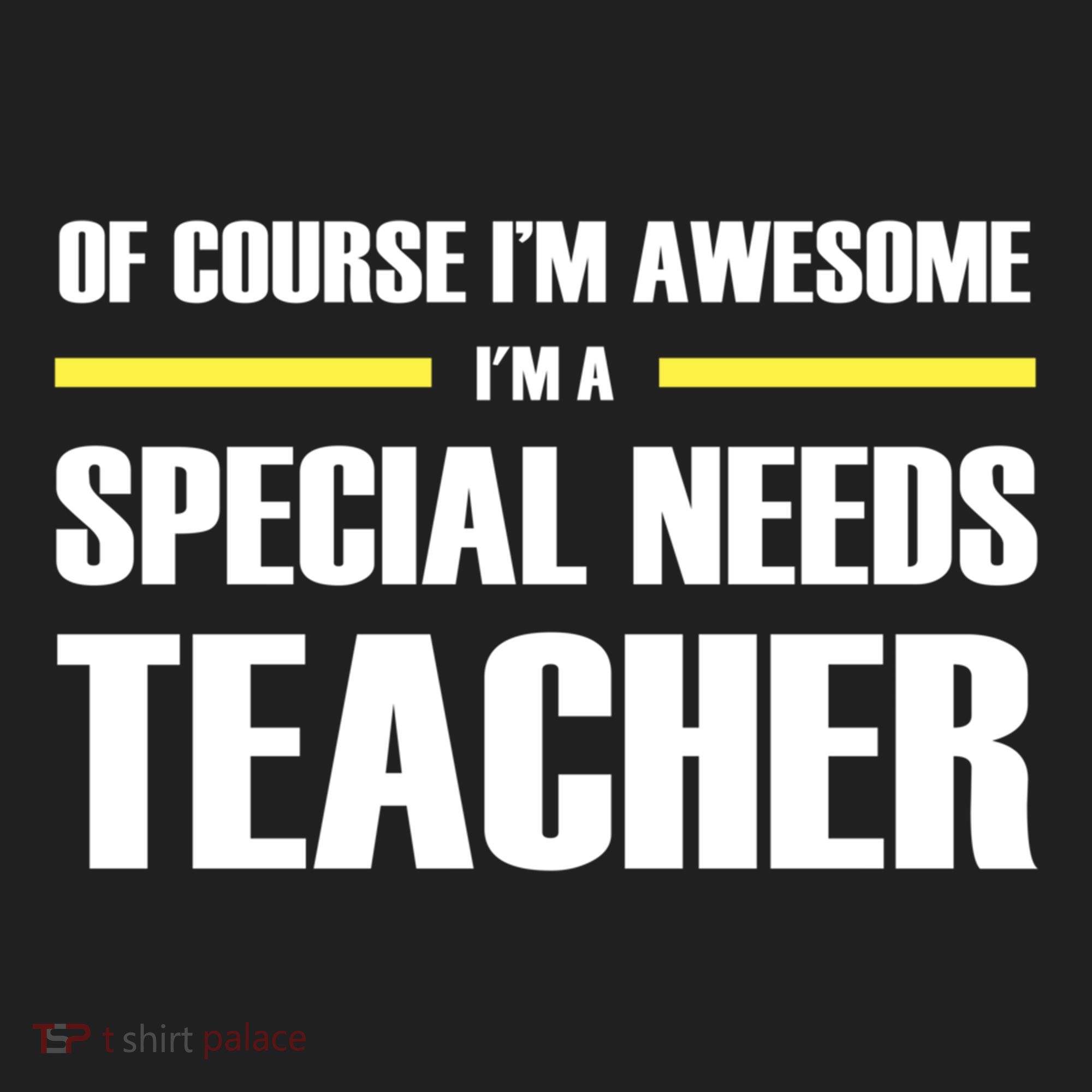 Awesome Special Needs Teacher Funny Gift Beanie