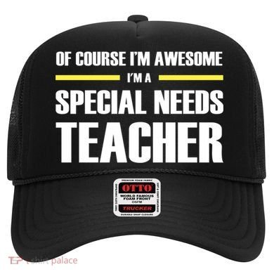 Awesome Special Needs Teacher Funny Gift Hat