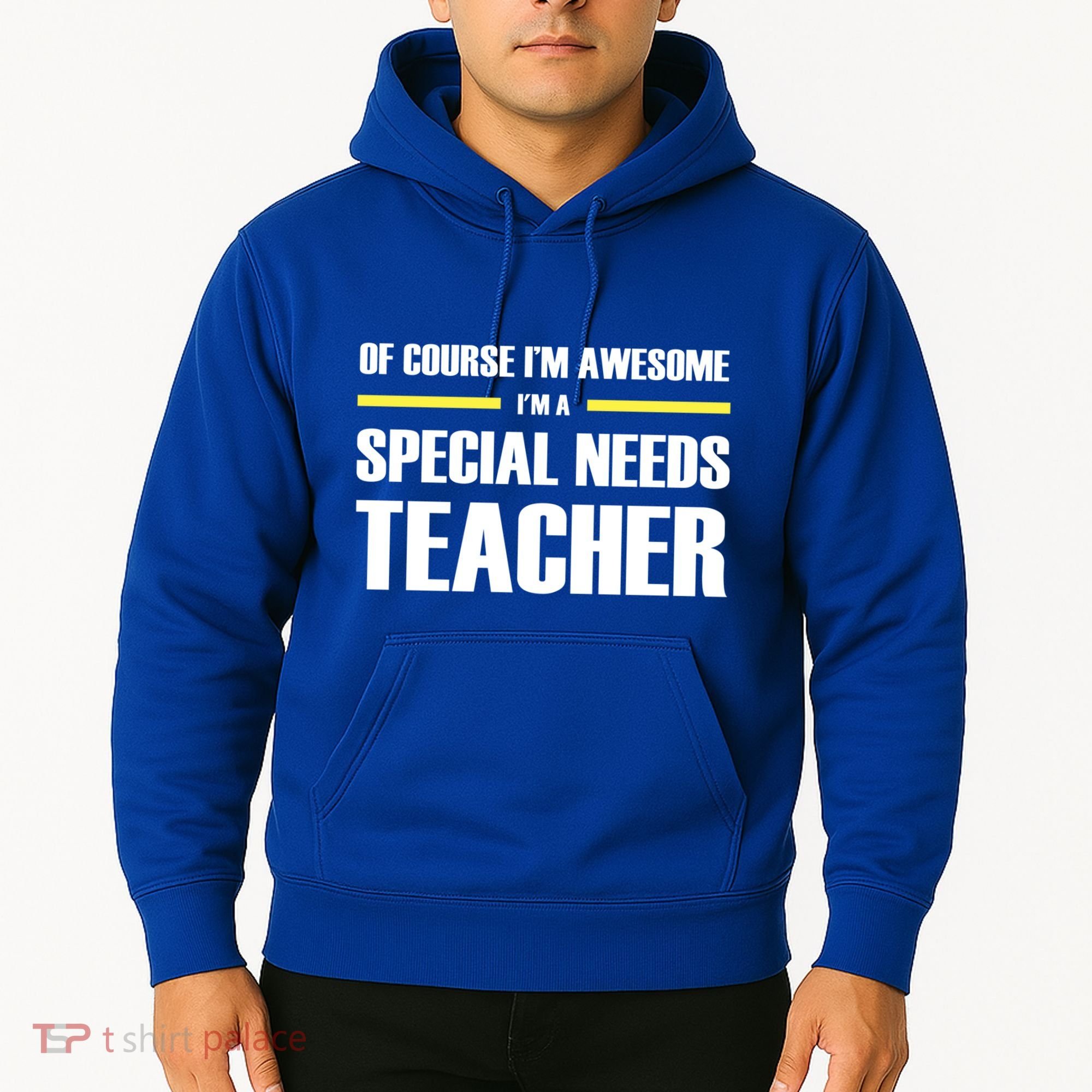 Awesome Special Needs Teacher Funny Gift Hoodie