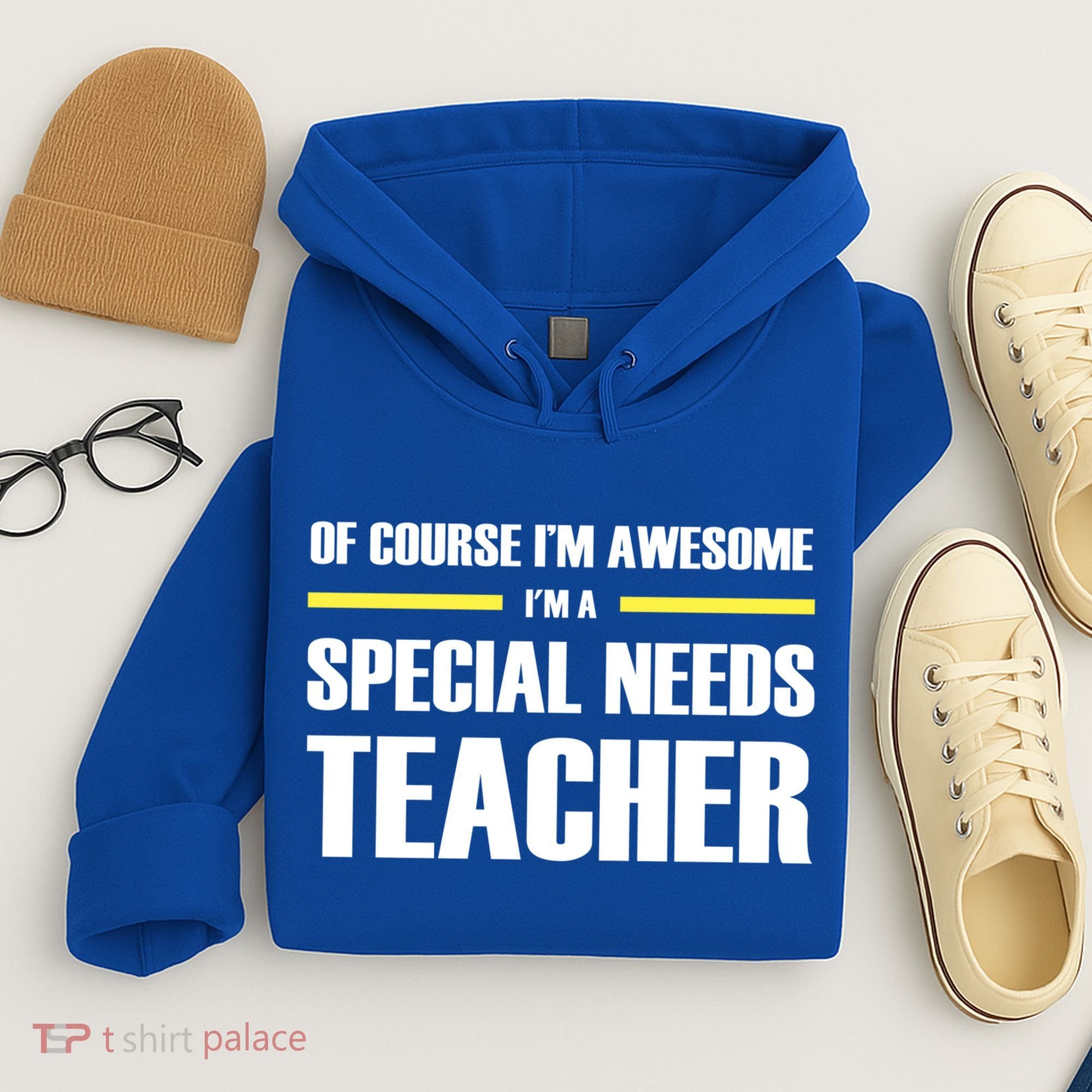 Awesome Special Needs Teacher Funny Gift Hoodie