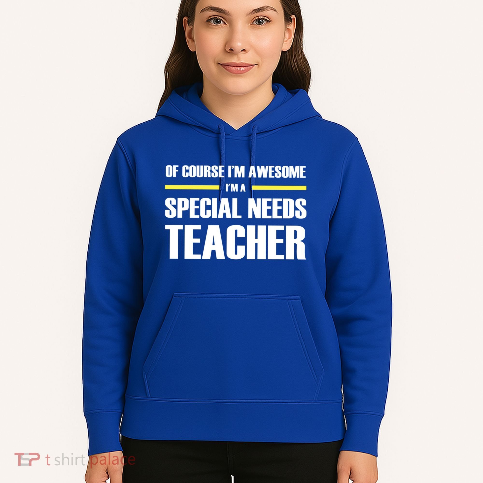 Awesome Special Needs Teacher Funny Gift Hoodie