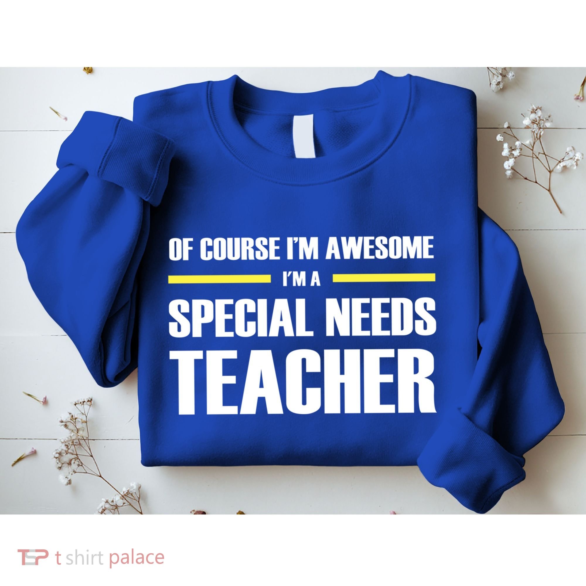 Awesome Special Needs Teacher Funny Gift Sweatshirt