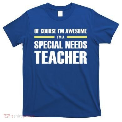Awesome Special Needs Teacher Funny Gift T-Shirt