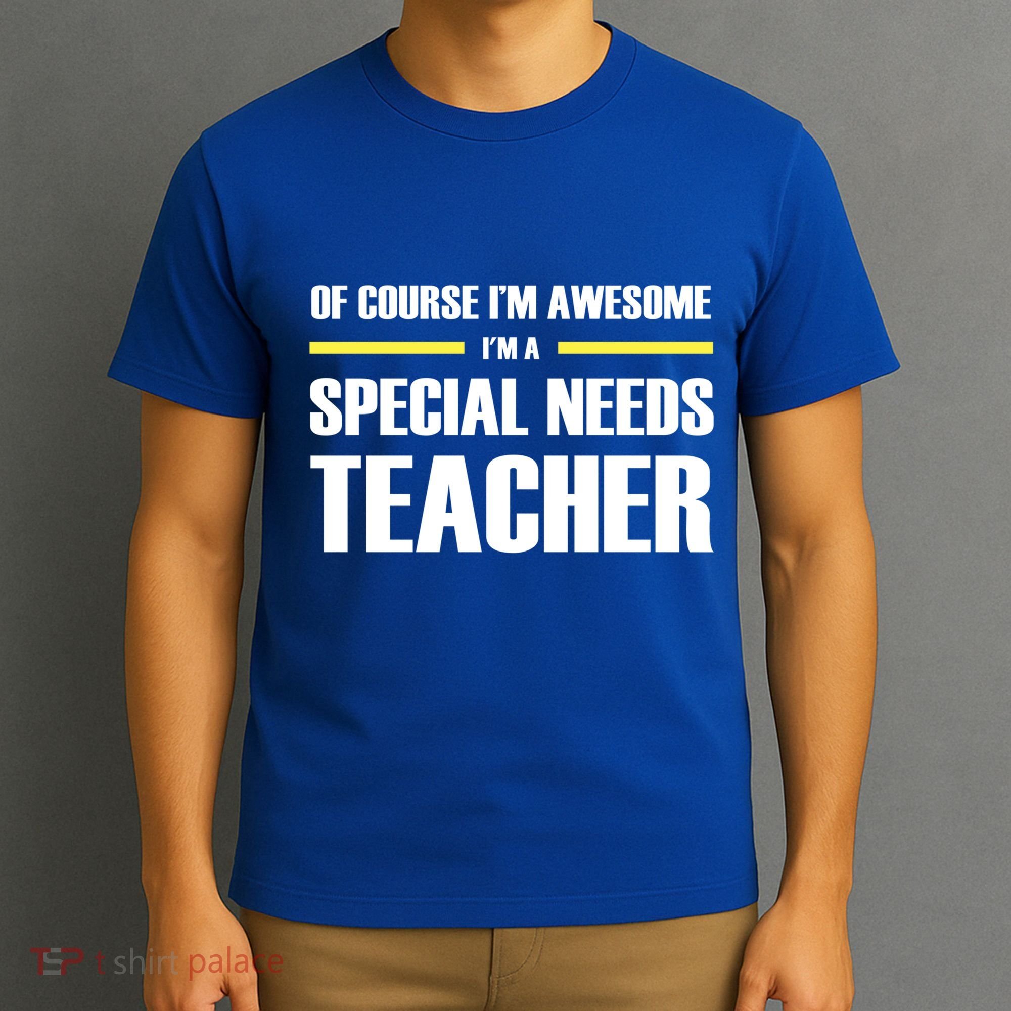 Awesome Special Needs Teacher Funny Gift T-Shirt