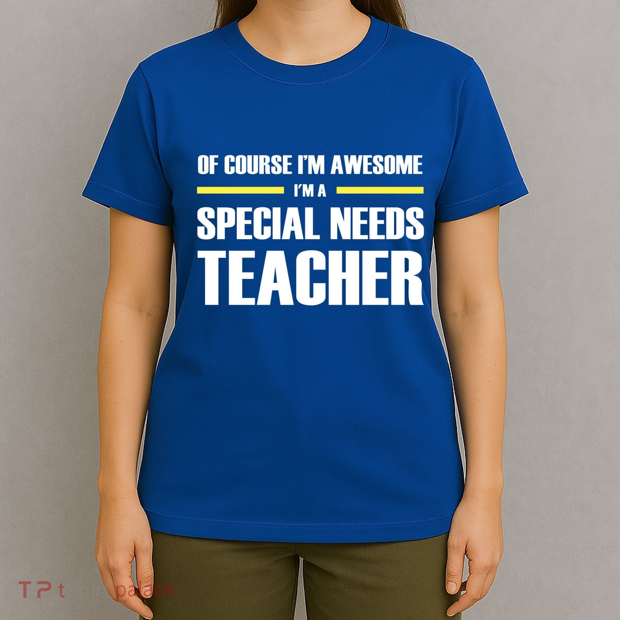 Awesome Special Needs Teacher Funny Gift T-Shirt