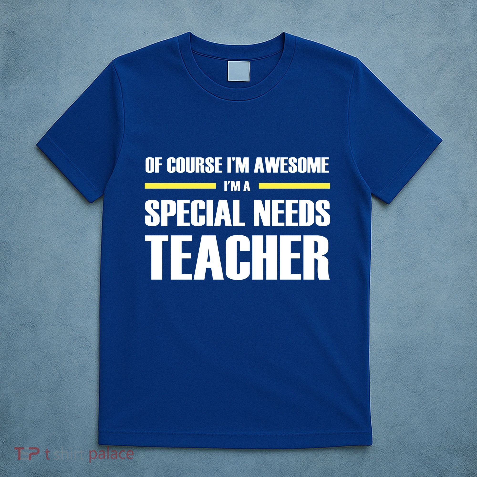 Awesome Special Needs Teacher Funny Gift T-Shirt