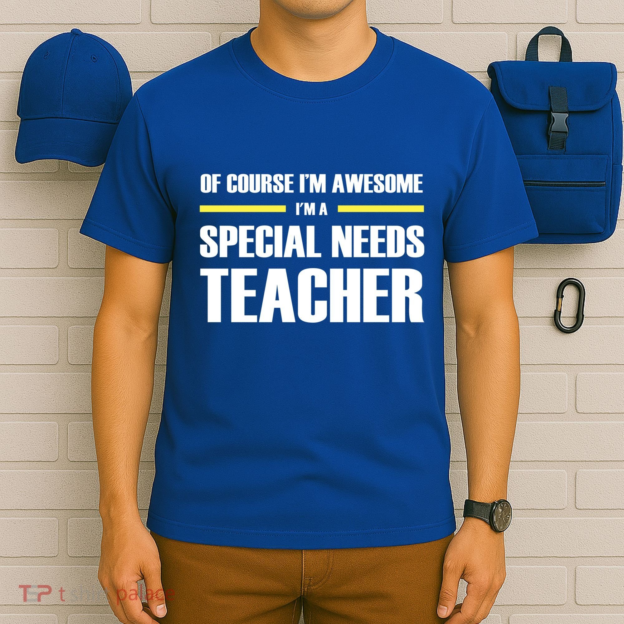 Awesome Special Needs Teacher Funny Gift T-Shirt