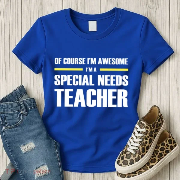 Awesome Special Needs Teacher Funny Gift Women's T-Shirt