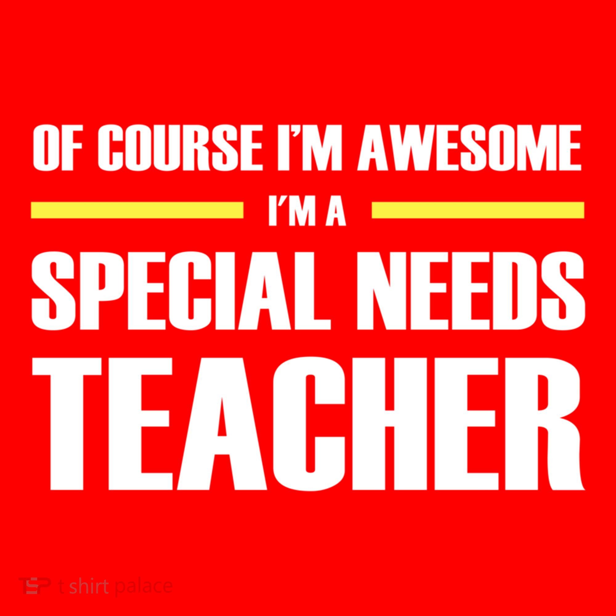 Awesome Special Needs Teacher Funny Gift Santa Hat
