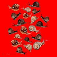 A Slew Of Snails Santa Hat thumb 1