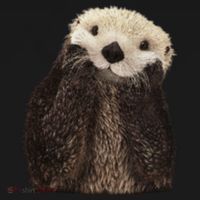 Adorable Sea Otter Gift Pajama Set thumb 2