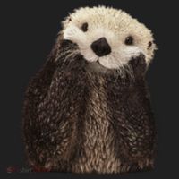 Adorable Sea Otter Gift Hat thumb 2
