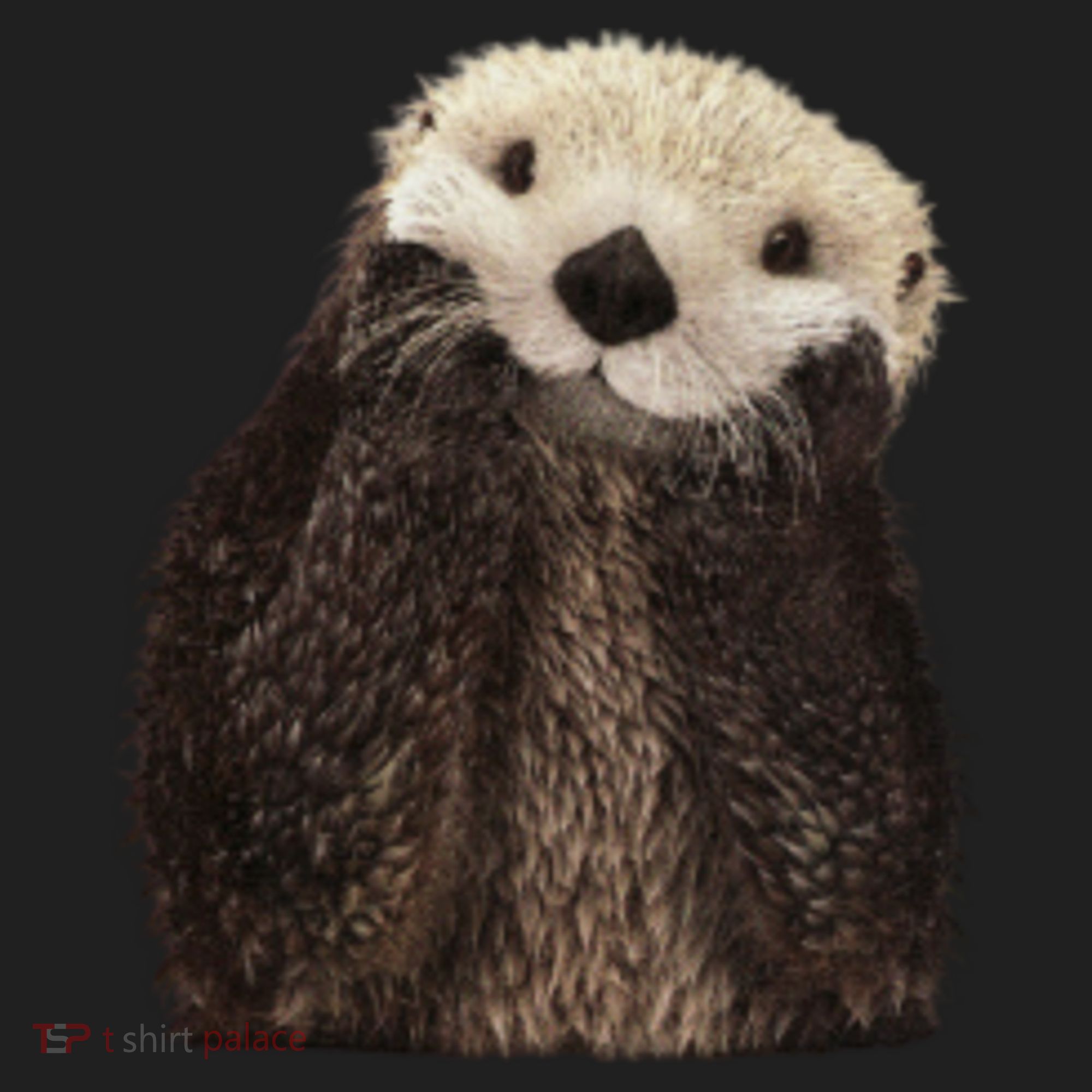 Adorable Sea Otter Gift Golf Towel